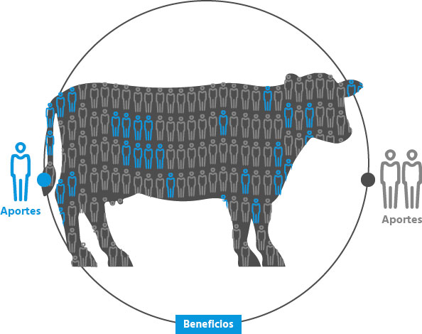 imagen aportes beneficios