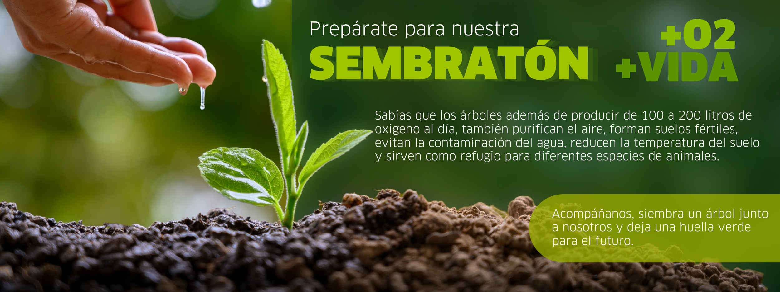 Iniciar sesi n portal empleados keralty